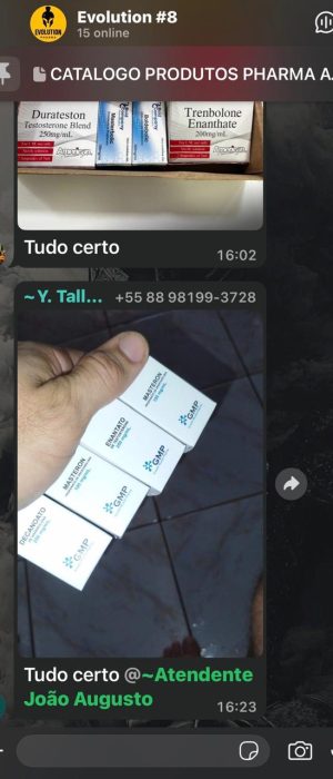 WhatsApp Image 2026-02-09 at 16.43.14 (1)